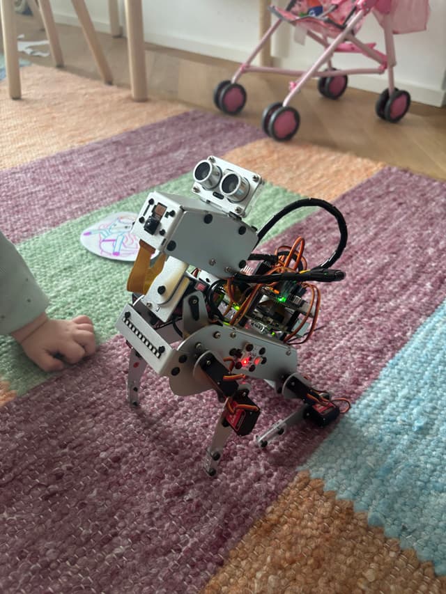Self-built Pi dog robot